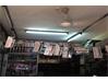 Shop-Mulgi for Sale in Abids